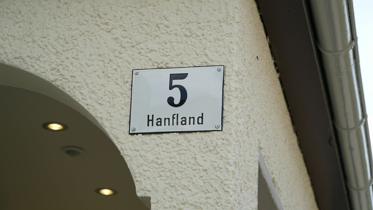hanfland3